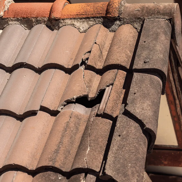 fuite de toiture à albi près de castres