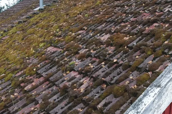 enlèvement de mousse sur un toit