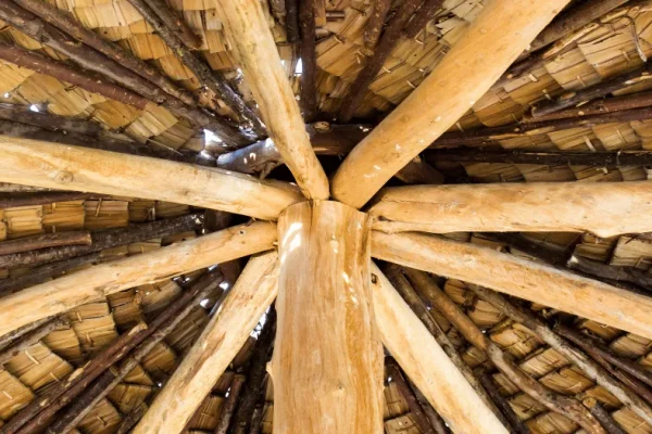 traitement curatif sur charpente bois